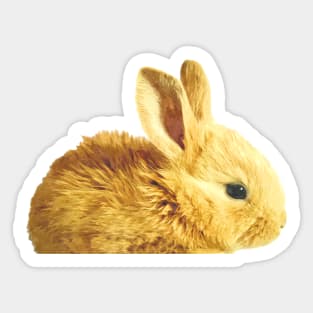 Bunny Portrait Sticker